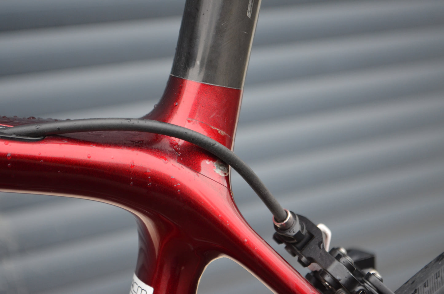 Trek Emonda SL6