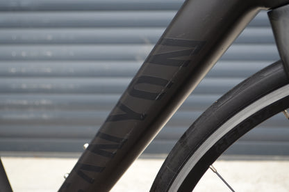 Canyon Endurace CF