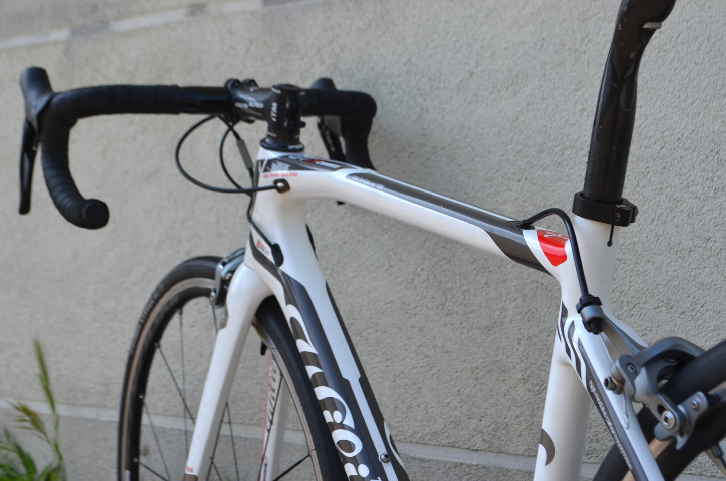 Wilier Triestina GTR Race